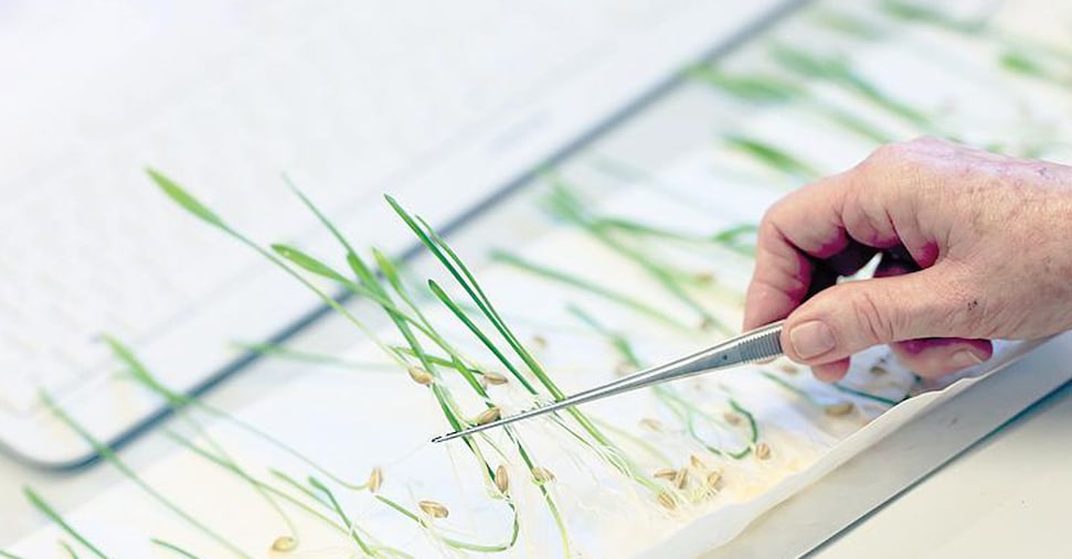 Ok alle Tea in agricoltura: ecco tutte le regole stabilite dall’Europa