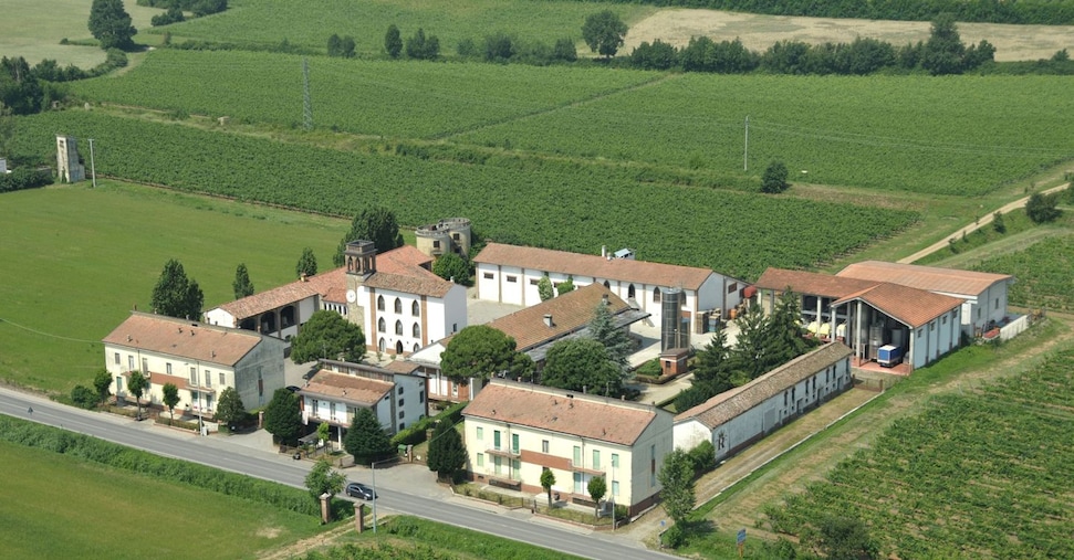 Compagnia del Gusto cresce nel vino: compra Cantine Romagnoli e mette nel mirino Winelivery