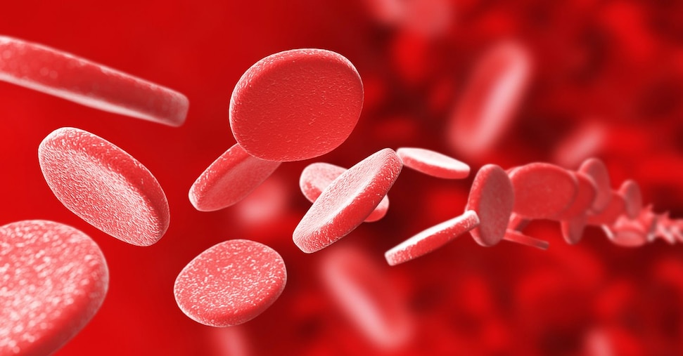 Tumori del sangue, ogni anno 30mila diagnosi ma con la ricerca più qualità di vita e guariti Tumori del sangue, ogni anno 30mila diagnosi ma con la ricerca più qualità di vita e guariti