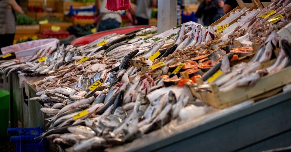 Cucinare il pesce frena l’80% degli italiani, avanza la filiera del ’tutto pronto’