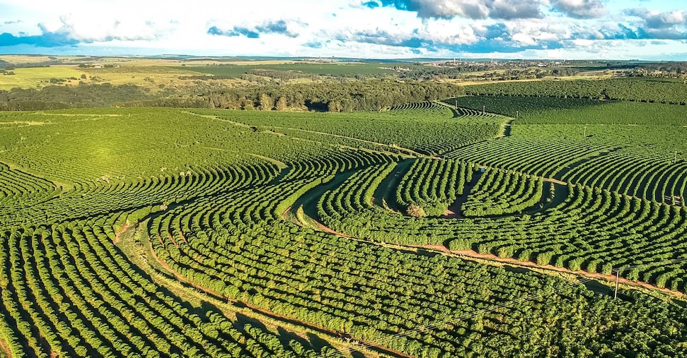Generazione Terra: chiuso il bando Ismea con 256 domande per oltre 115 milioni Generazione Terra: chiuso il bando Ismea con 256 domande per oltre 115 milioni
