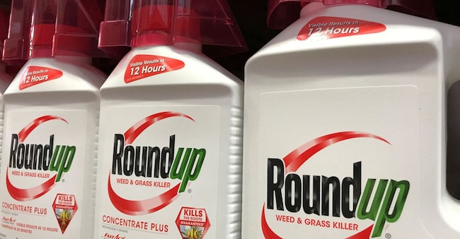 Il prodotto Roundup della Monsanto, controllata di Bayer, nel mirino perché contenente glifosato, componente cancerogeno REUTERS
