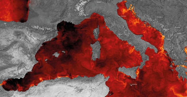 La visualizzazione grafica, basata sui dati del Copernicus Marine Service, mostra le anomalie della superficie marina in Europa lo scorso 29 giugno. Le aree rosso scuro sono quelle in cui la temperatura superficiale delle acque ha superato la media di lungo periodo.  Credit: European Union, Copernicus Marine Service Data