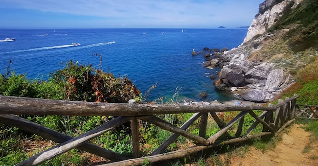 Parco Naturale di Montemarcello - Punta Bianca. G. Rusconi