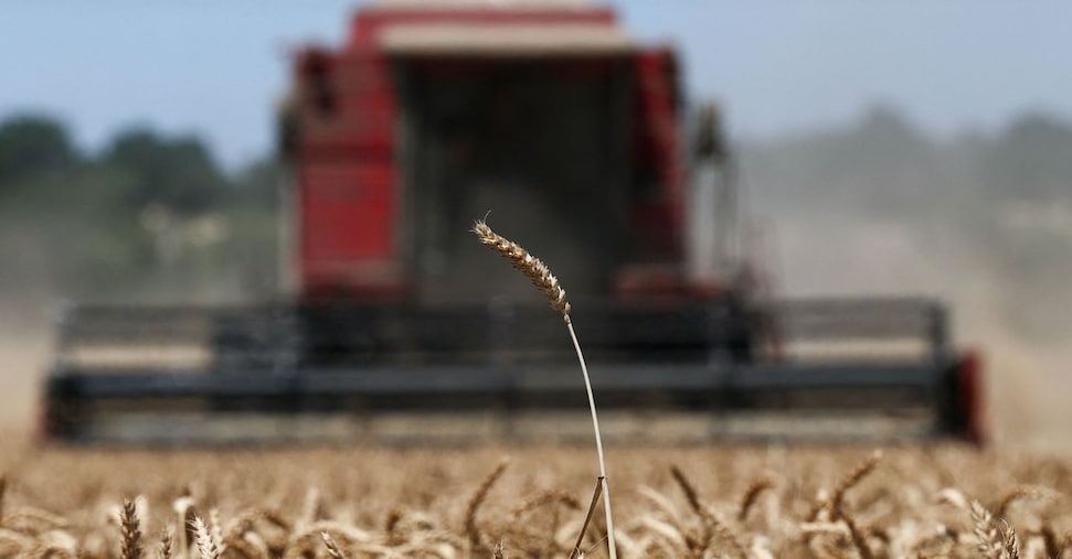 Lodi, la spinta dell’agribusiness
