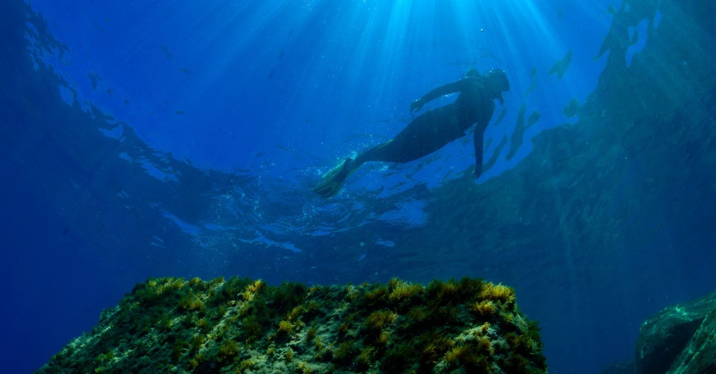 Oceani, corsa contro il tempo per salvare le risorse marine