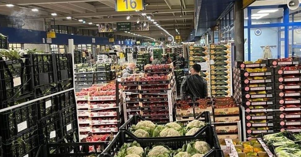 Intesa tra Confagricoltura e Alis: si rafforza la collaborazione tra logistica e agroalimentare Intesa tra Confagricoltura e Alis: si rafforza la collaborazione tra logistica e agroalimentare