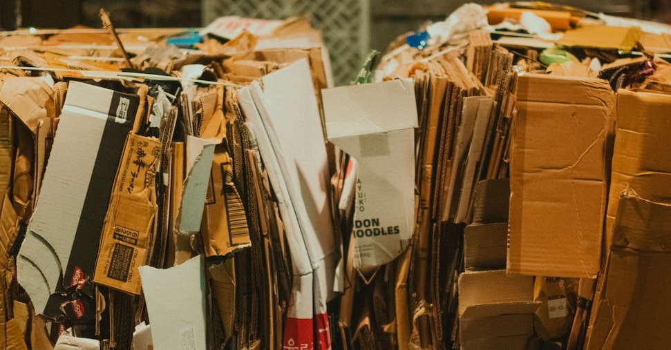 Carta, nel 2025 cresce la raccolta differenziata: +60mila tonnellate Carta, nel 2025 cresce la raccolta differenziata: +60mila tonnellate