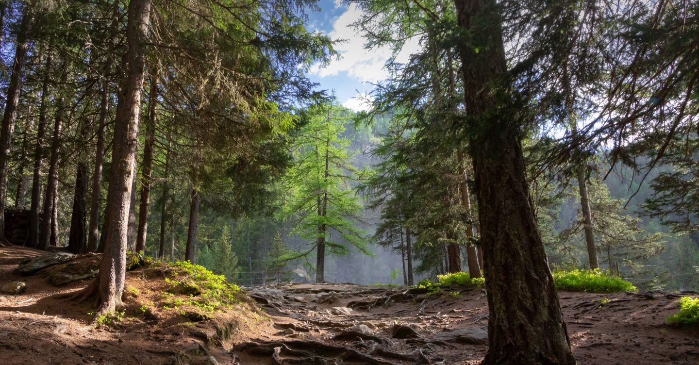 https://i2.res.24o.it/images2010/S24/Documenti/2026/07/11/Immagini/Ritagli/AdobeStock_422421720-U01230213154rpI-1440x752@IlSole24Ore-Web.jpeg
