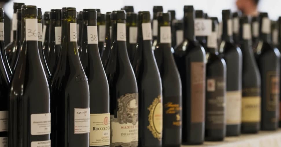 Provincia di Verona regina del vino, ma la crisi costa almeno 260 milioni di euro (indotto compreso)