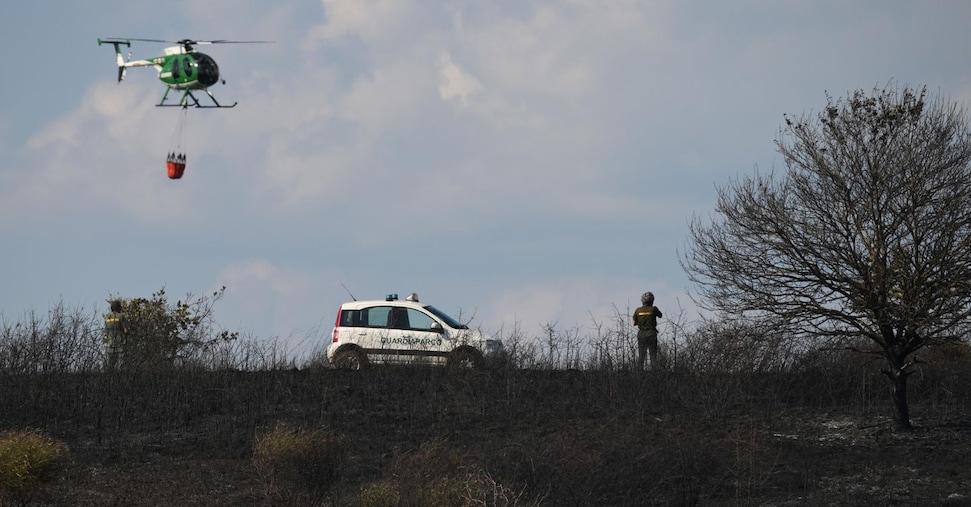 Non solo caldo, Piemonte e Sardegna alle prese con gli incendi Non solo caldo, Piemonte e Sardegna alle prese con gli incendi