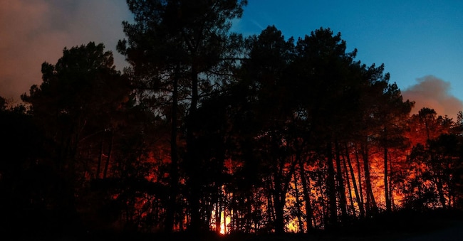 Un incendio boschivo divampa a Noisy-sur-Ecole, nei pressi di Fontainebleau, in Francia, il 12 luglio 2026. REUTERS/Benoit Tessier REUTERS