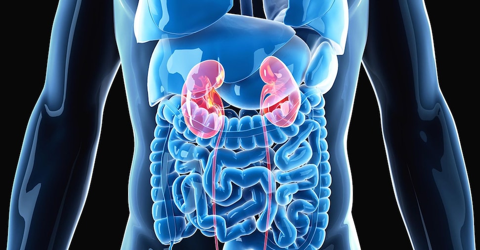 Dalla salute mentale alle malattie endocrine:  cresce l’offerta Doc degli ospedali «al maschile»