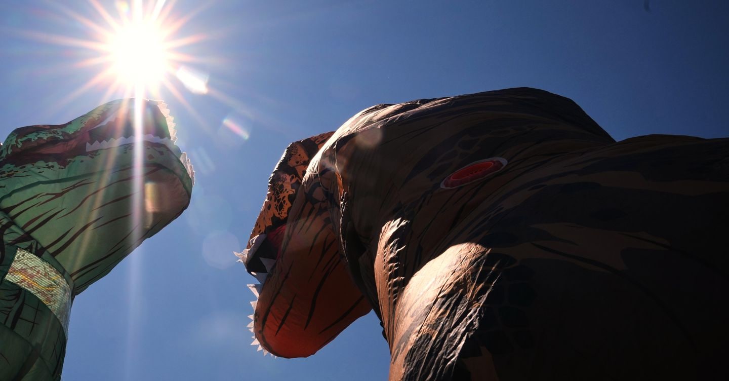 Record da Sotheby’s, battuto a 50 milioni $ lo scheletro di un dinosauro Record da Sotheby’s, battuto a 50 milioni $ lo scheletro di un dinosauro