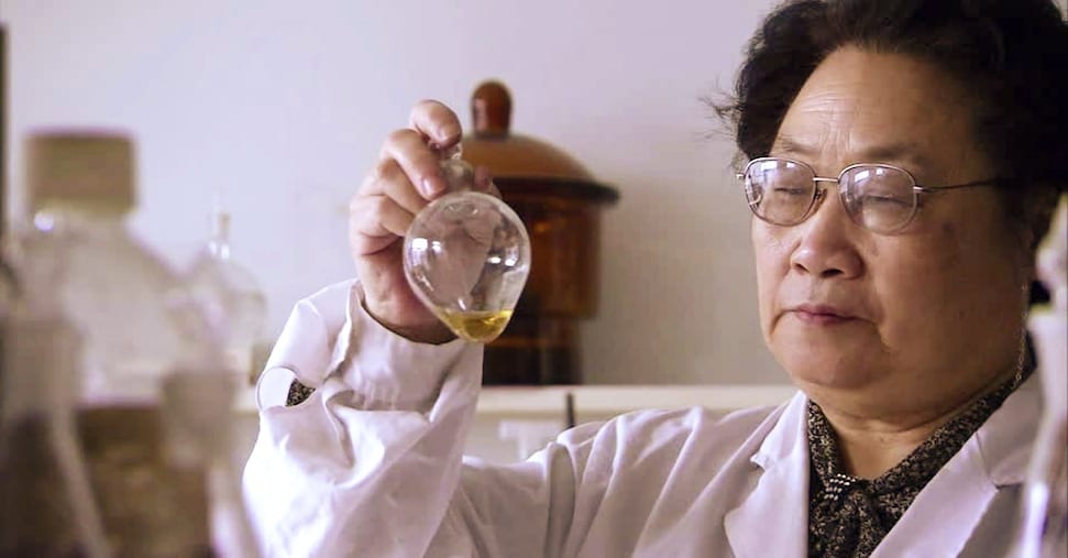 Scienza, il convitato di pietra è l’eccellenza della Cina Scienza, il convitato di pietra è l’eccellenza della Cina