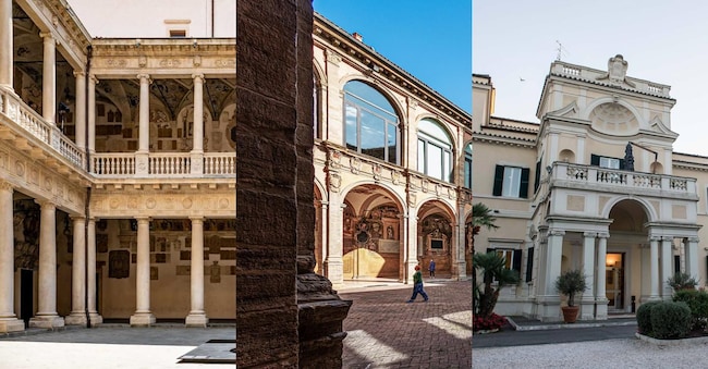 Università di Padova, Bologna e Luiss