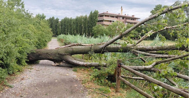 Una delle foto postate sui socail dal sindaco di Modena Massimo Mezzetti sui danni provocati dal maltempo, 15 luglio 2026 Facebook / Massimo Mezzetti +++ ANSA