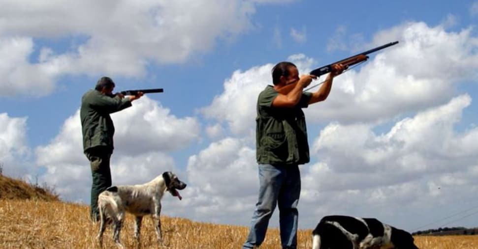 Caccia: muro contro muro, opposizioni critiche e agricoltori favorevoli (Ảnh: Il Sole 24 ORE)