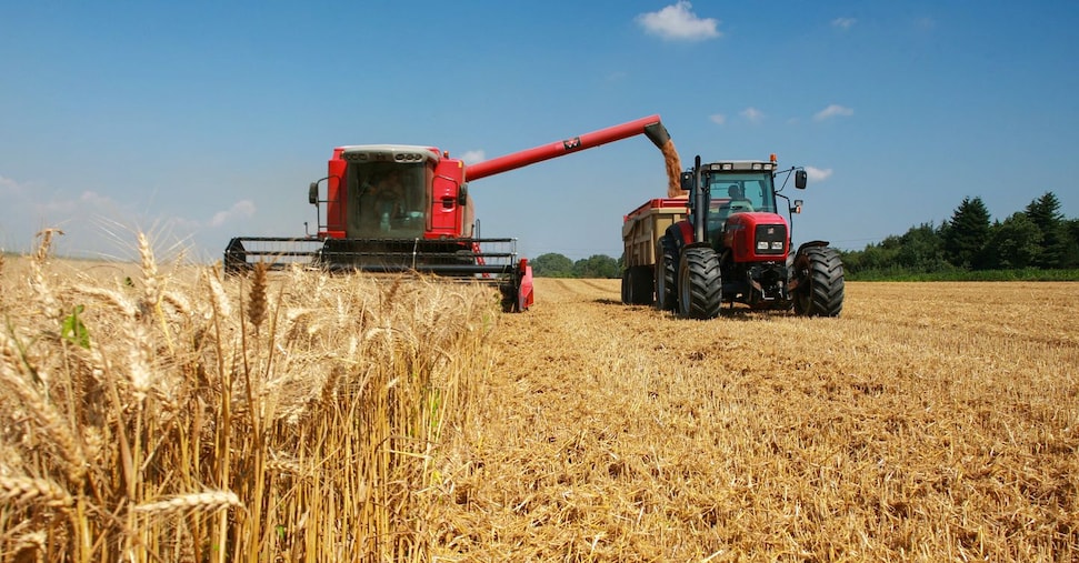Francia, metà degli agricoltori andrà in pensione entro il 2030: la sfida del ricambio generazionale