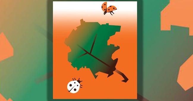 (Illustrazione di Chiara Morra)