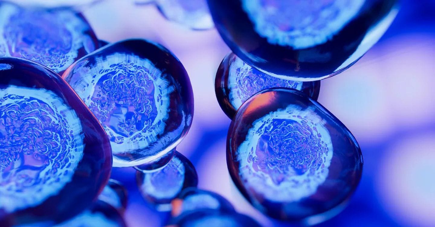 La Cassa dei biologi punta molto sulla prudenza ma meno sulla trasparenza