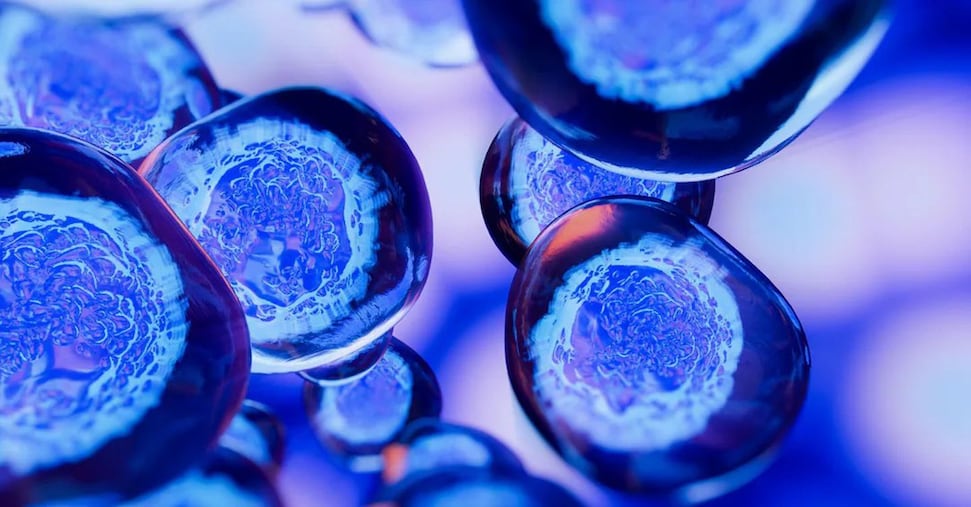 La Cassa dei biologi punta molto sulla prudenza ma meno sulla trasparenza