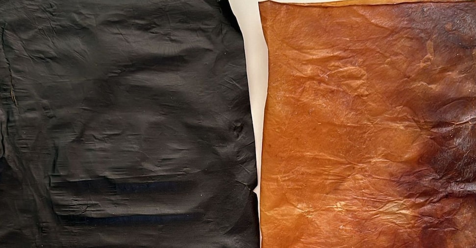 R&S, La startup campana KforB produrrà nanocellulosa batterica
