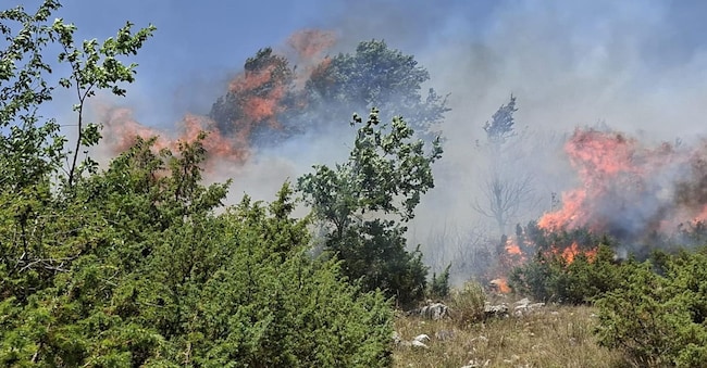 L'incendio che sta interessanto la zona di Rocca di Mezzo (L'Aquila).  (Ansa)