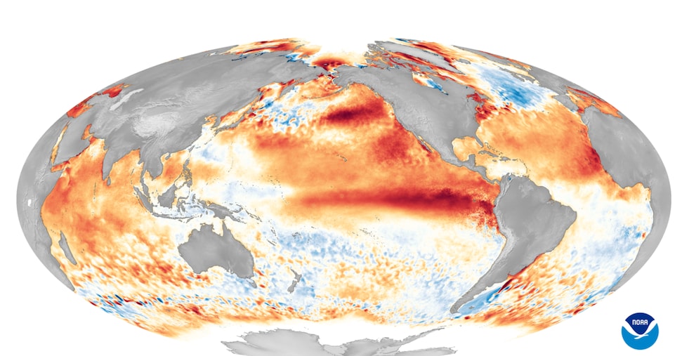 Il super El Niño arriva su un pianeta già caldo. Ecco le conseguenze Il super El Niño arriva su un pianeta già caldo. Ecco le conseguenze