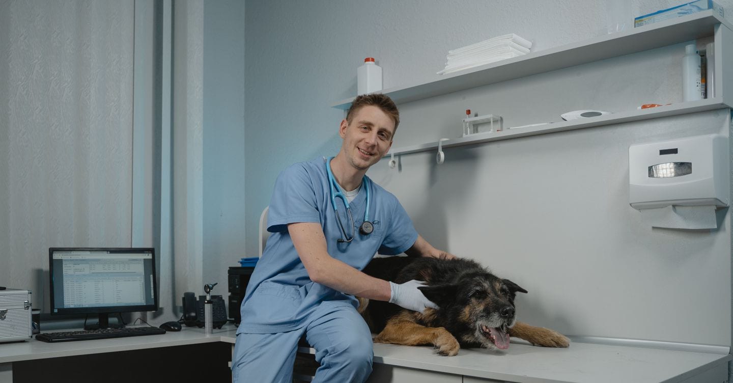 https://i2.res.24o.it/images2010/S24/Documenti/2026/08/01/Immagini/Ritagli/veterinario-U06471743051zVy-1440x752@IlSole24Ore-Web.jpg