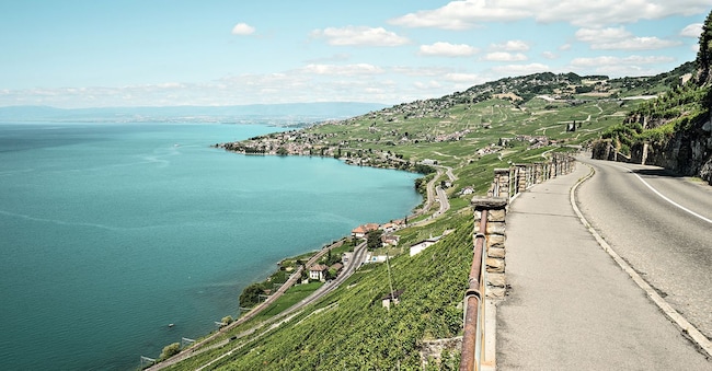 Svizzera. In viaggio lungo il Grand Tour of Switzerland nel Lavaux, nei pressi di Puidoux.   (Copyright: Switzerland Tourism - By-Line: swiss-image.ch/Ivo Scholz)