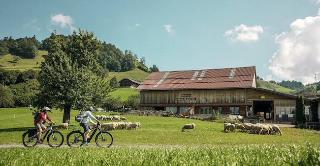 I ciclisti delle e-bike in visita presso Emscha, l'azienda produttrice di latte di pecora nell'Entlebuch.