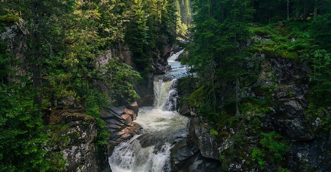 Parchi del Trentino, Cascata sul sentiero Marciò a Paneveggio