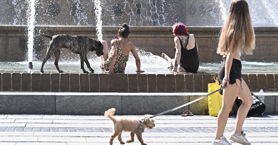 Caldo: giovedì bollino rosso in 27 città su 27, picco mai raggiunto Caldo: giovedì bollino rosso in 27 città su 27, picco mai raggiunto