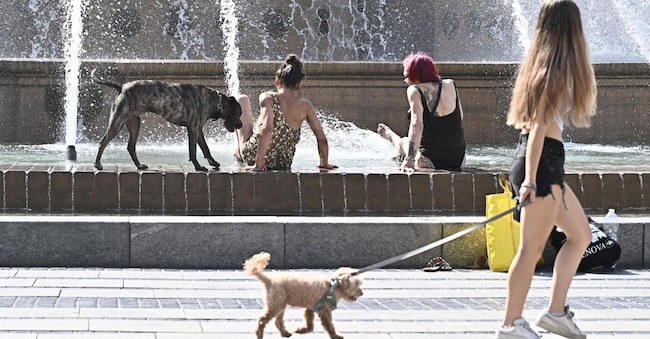 Afa e grande caldo temperature, stabilmente sopra i 32 gradi, c'è chi si rinfresca nella fontana di piazza De Ferrari. Genova, 3 agosto 2026. ANSA/LUCA ZENNARO ANSA