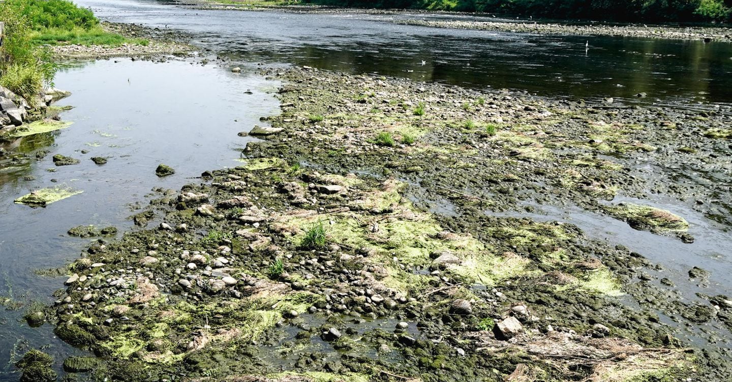 Po, a Cremona record siccitÃ : 8,59 metri sotto lo zero idrometrico