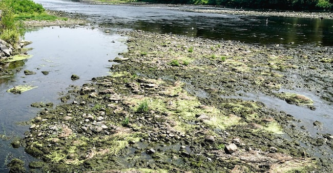 Il fiume Po in secca a Torino  dove si sono formati degli isolotti per la drastica diminuzione della portata dovuta alla prolungata siccità. Torino 30 luglio 2026 ANSA/TINO ROMANO - Turin, July 30, 2026 ANSA/TINO ROMANO ANSA