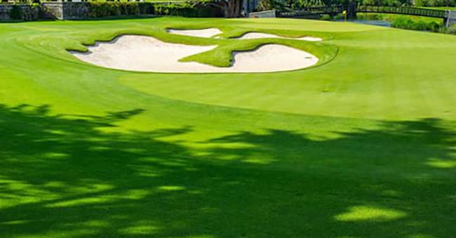 Buca in un campo da golf ©2018 LC Lambrecht