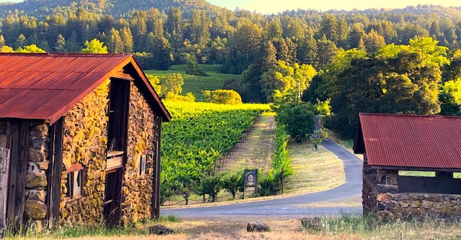 Il paesaggio nel Jack London State Historic Park