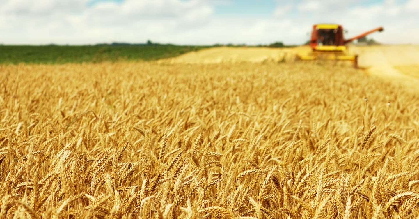 Via libera al Coltiva Italia, 1,1 miliardi per rafforzare l’agricoltura nazionale