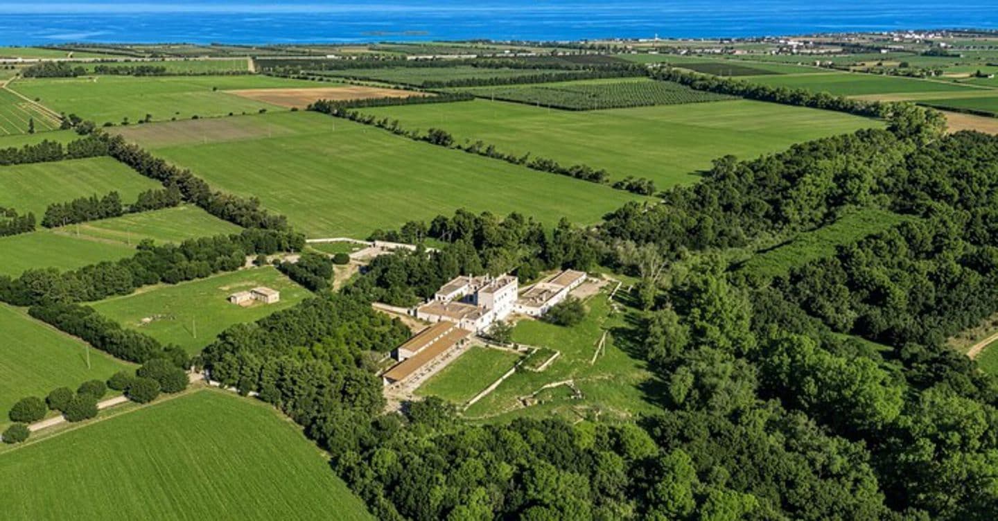 In vendita la masseria in Puglia che ospitò Vittorio Emanuele III a un passo da Torre Guaceto In vendita la masseria in Puglia che ospitò Vittorio Emanuele III a un passo da Torre Guaceto
