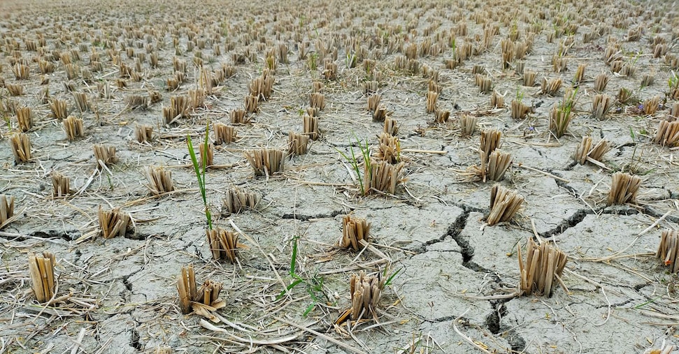 Clima, l’Italia con +2 °C può perdere 74 miliardi e 960mila posti di lavoro