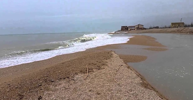 Foce del fiume Musone