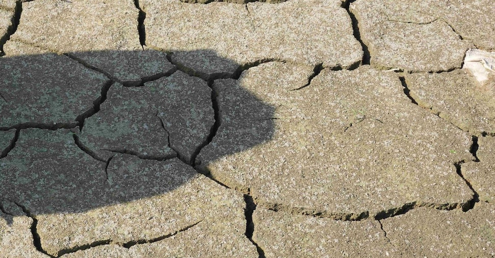 Copernicus: luglio 2026 il secondo più caldo registrato in Europa occidentale Copernicus: luglio 2026 il secondo più caldo registrato in Europa occidentale