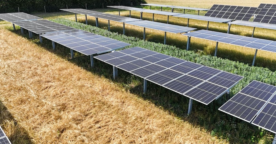 European energy, finanziamento da 234 milioni per parco agrivoltaico a Vizzini European energy, finanziamento da 234 milioni per parco agrivoltaico a Vizzini