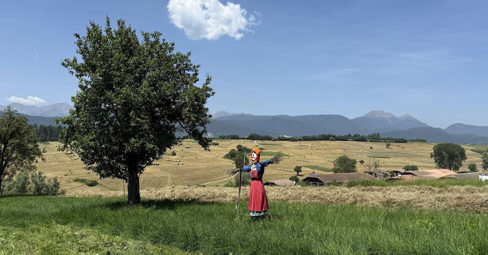 Ricambio generazionale e innovazione, nuove risorse all’agricoltura Ricambio generazionale e innovazione, nuove risorse all’agricoltura