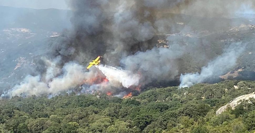 ambiente in 7 mesi registrati 1070 grandi incendi boschivi in italia da Ilsole24ore.com ambiente in 7 mesi registrati 1070 grandi incendi boschivi in italia