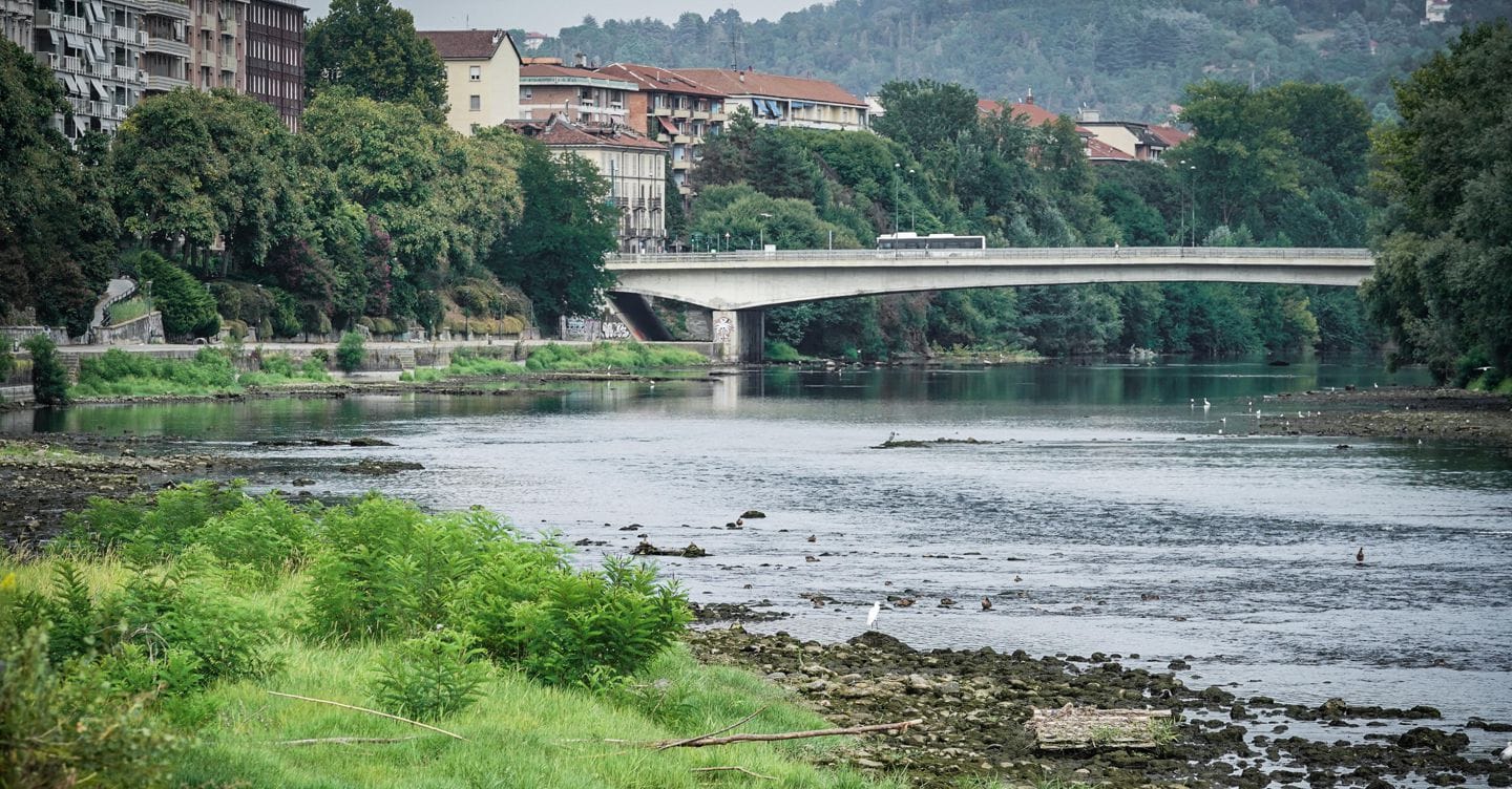 Bici giù dai Murazzi, appello bis per Cherici: valutare la dipendenza dal branco