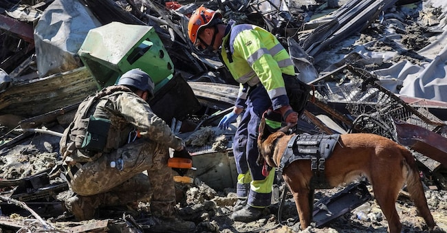 I soccorritori, accompagnati da un cane, operano sul luogo di un centro commerciale distrutto dall’attacco con droni russi di ieri, nel contesto dell’offensiva russa contro l’Ucraina, nella città di Kryvyi Rih, nella regione di Dnipropetrovsk, Ucraina, il 22 agosto 2026. REUTERS/Serhii Chalyi REUTERS