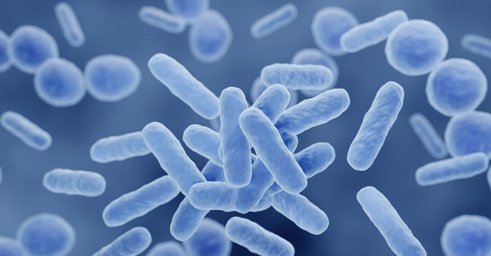 Microbiota «specchio» delle malattie killer: perché serve un dietrofront sui cibi processati Microbiota «specchio» delle malattie killer: perché serve un dietrofront sui cibi processati
